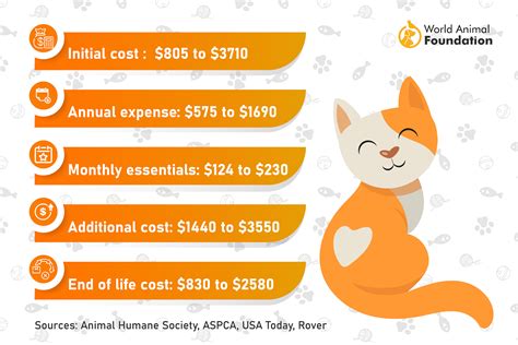 How Much Does A Pet Cat Cost