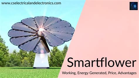 How Much Does A Smart Flower Cost