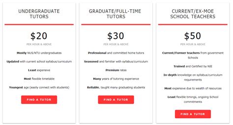 how much does a tutor cost