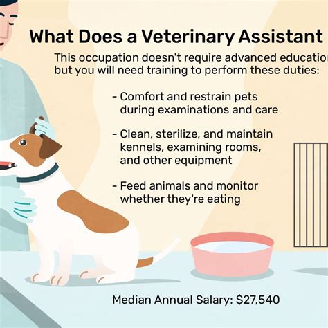 How Much Does A Veterinary Assistant Make In Alberta