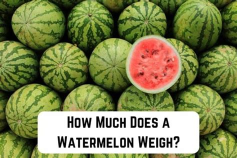 how much does an average watermelon weigh