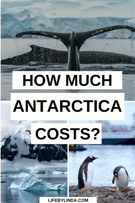 how much does antarctica cost