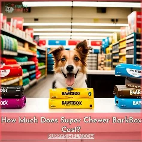 How Much Does Barkbox Super Chewer Cost