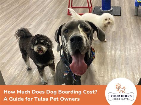 How Much Does Boarding Dogs Cost