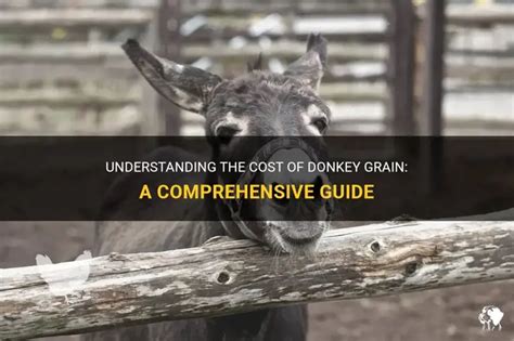 How Much Does Donkey Meat Cost