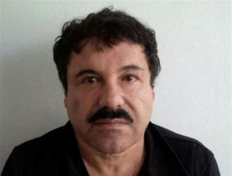 how much does el chapo make a year