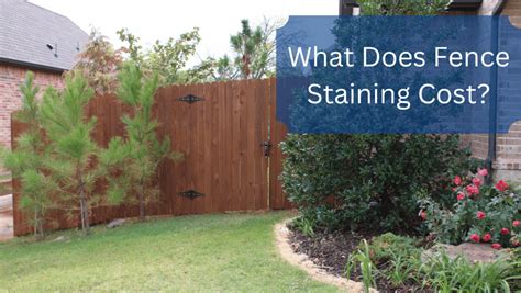How Much Does Fence Staining Cost