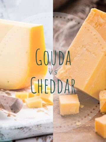 How Much Does Gouda Cheese Cost
