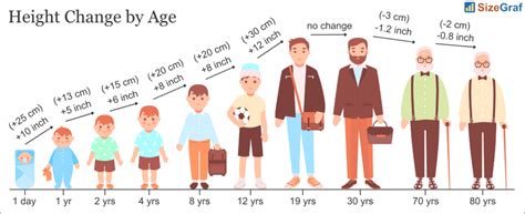 How Much Does Height Decrease With Age