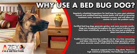 How Much Does It Cost For A Bed Bug Dog