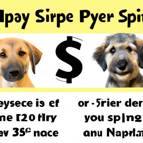 How Much Does It Cost To Get A Dog Spayed In Alberta