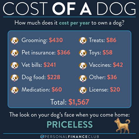 How Much Does It Cost To Get A Dog Spayed In Oklahoma