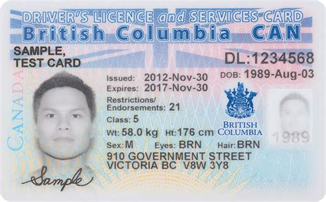 how much does it cost to get a security license in bc