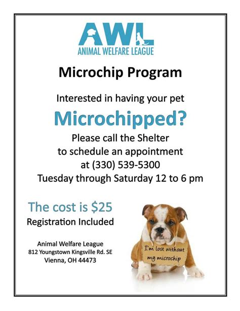 How Much Does It Cost To Register A Dog's Microchip