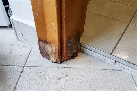 How Much Does It Cost To Replace A Rotted Door Frame