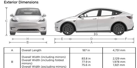 how much does model y weigh