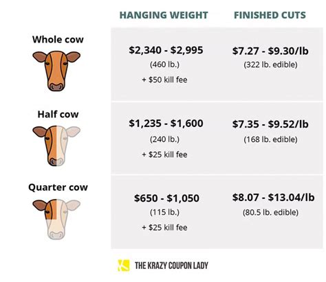 How Much Does One Cattle Cost