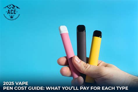 How Much Does One Pen Cost