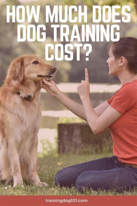 How Much Does Smart Dog Training Cost