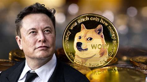 how much dogecoin does elon musk own