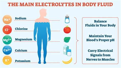 How Much Electrolytes Per Day