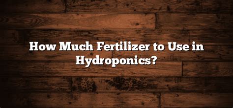 How Much Fertilizer For Hydroponics