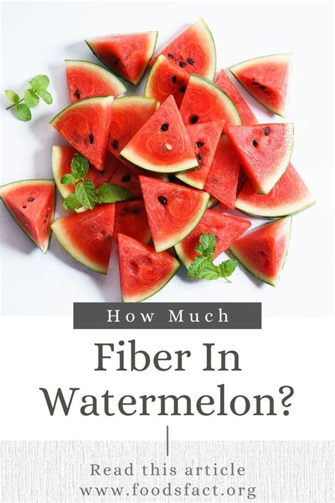 how much fiber in a melon