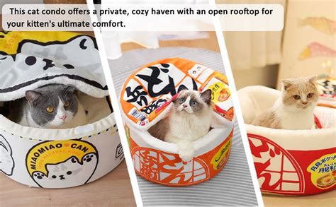 How Much For A Cat Bed