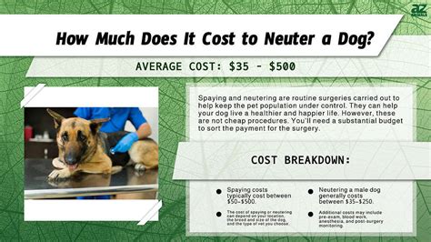 How Much Is A Dog To Get Spayed