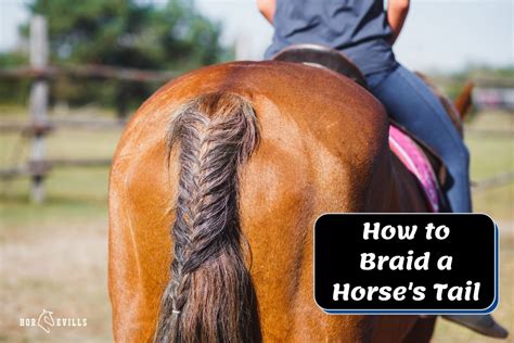 Free How Much Is A Horse Tail Worth For Hair Ideas