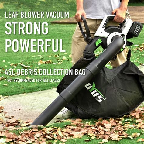 How Much Is A Leaf Vacuum Machine