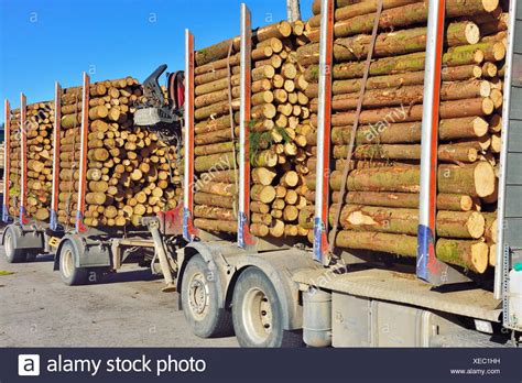 How Much Is A Load Of Pine Logs