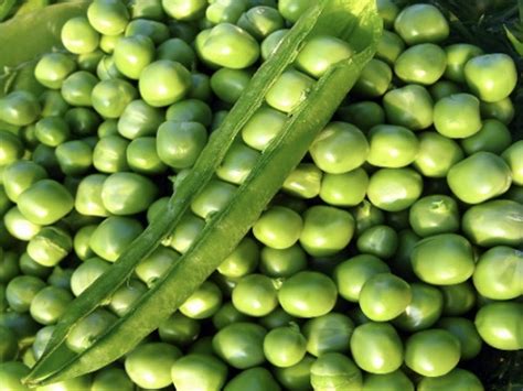 how much is a pea sized amount