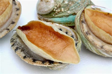 How Much Is Abalone A Pound