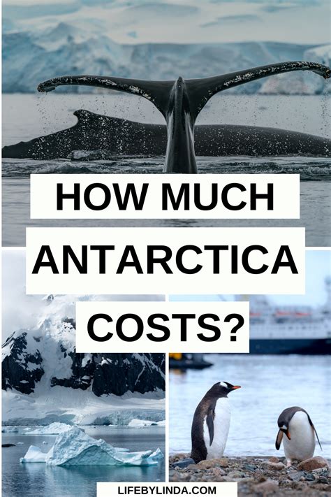 how much is antarctica