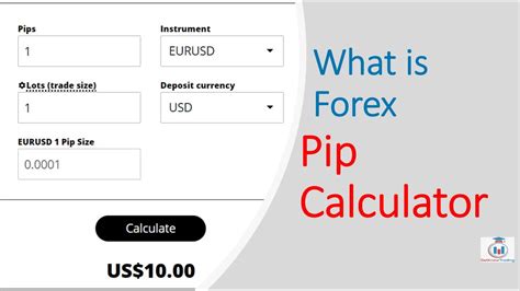 how much is basic pip