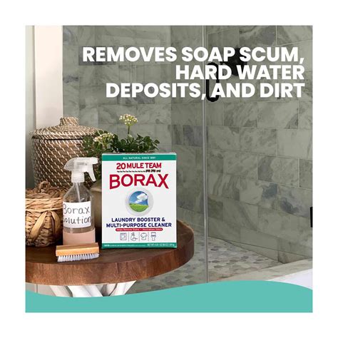 How Much Is Borax At Dollar General
