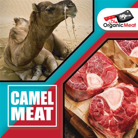 how much is camel meat