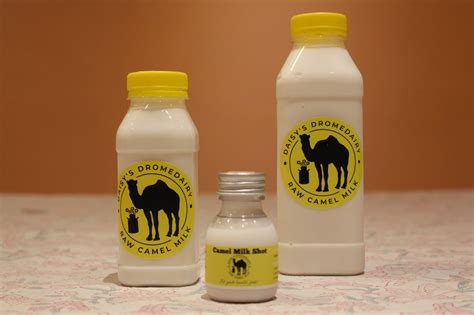 how much is camel milk