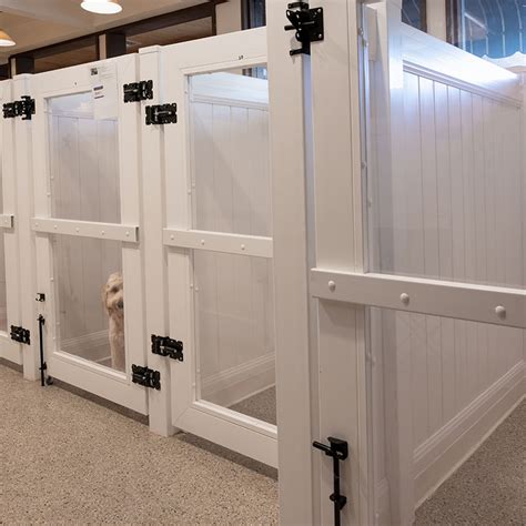 How Much Is Dog Lodging