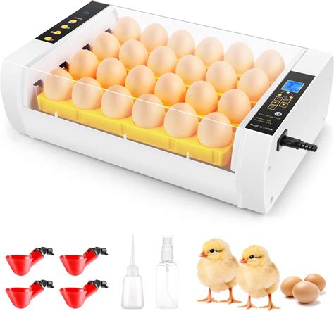 How Much Is Egg Hatching Machine