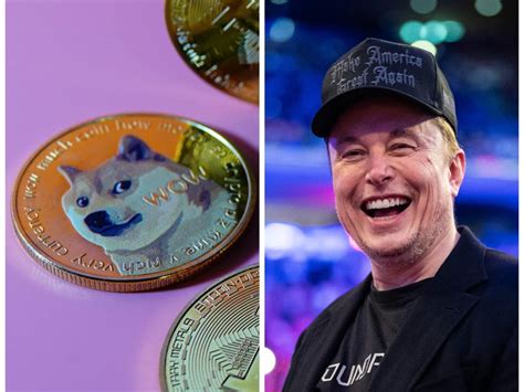 how much is elon musk being paid by the government for doge