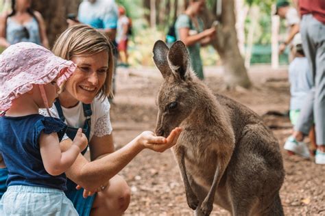 how much is entry to australia zoo