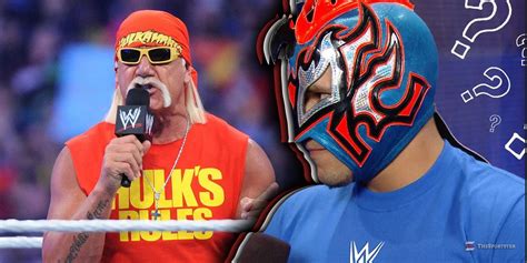 how much is fidget wwe fans