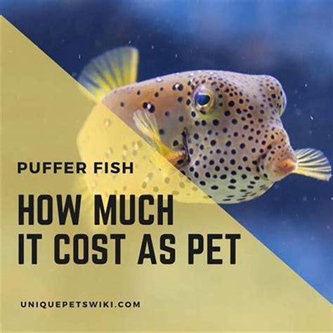 how much is fish worth