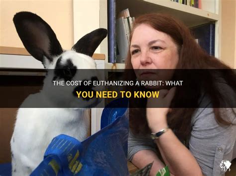 How Much Is It To Euthanize A Rabbit