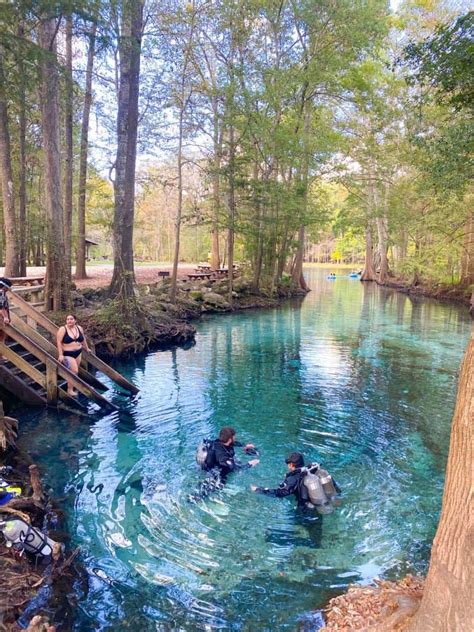 How Much Is It To Get In Ginnie Springs