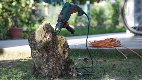 How Much Is It To Remove A Tree Stump