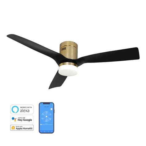 how much is peet wizard fans