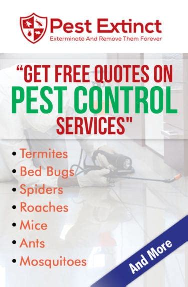 how much is pest control in florida
